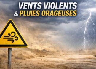 Météo Tunisie : vents forts jusqu’à 80 km/h et pluies orageuses prévues mercredi