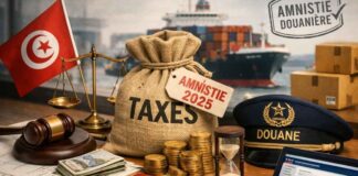 Amnistie Douanière en Tunisie : Guide Complet Douane Tunisie