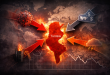 La Tunisie constamment exposée aux chocs extérieurs : est ce une fatalité ?