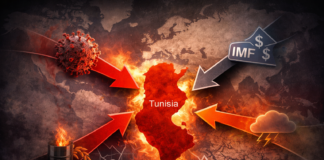 La Tunisie constamment exposée aux chocs extérieurs : est ce une fatalité ?