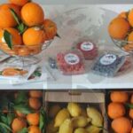 Cap Agri 2026 : plus de 40 exposants réunis au Salon agricole du Cap Bon à Nabeul