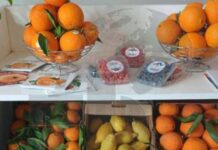 Cap Agri 2026 : plus de 40 exposants réunis au Salon agricole du Cap Bon à Nabeul