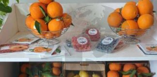 Cap Agri 2026 : plus de 40 exposants réunis au Salon agricole du Cap Bon à Nabeul