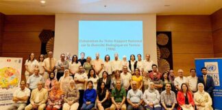 Développement durable : la biodiversité au cœur de la stratégie de la Tunisie