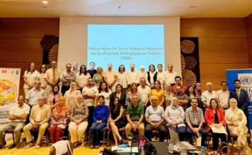 Développement durable : la biodiversité au cœur de la stratégie de la Tunisie