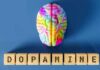 Dopamine et santé mentale : quels risques en cas de déficit hormonal ?