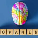 Dopamine et santé mentale : quels risques en cas de déficit hormonal ?