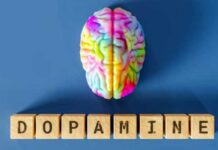 Dopamine et santé mentale : quels risques en cas de déficit hormonal ?