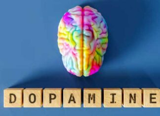 Dopamine et santé mentale : quels risques en cas de déficit hormonal ?