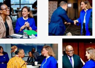 Diplomatie économique : la Tunisie mise sur l’Afrique du Sud pour booster investissements et partenariats