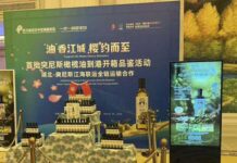 Huile d’olive tunisienne en Chine : Hubei, nouveau marché stratégique pour l’exportation