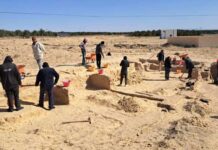 Tunisie-Italie : mission archéologique et valorisation culturelle du site de Koustiliya