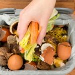 Gaspillage alimentaire : un tiers de la production mondiale perdue, alerte le WWF Afrique du Nord