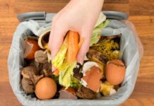 Gaspillage alimentaire : un tiers de la production mondiale perdue, alerte le WWF Afrique du Nord