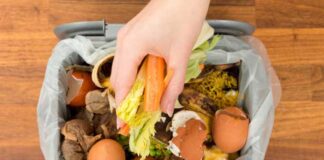 Gaspillage alimentaire : un tiers de la production mondiale perdue, alerte le WWF Afrique du Nord