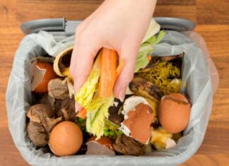 Gaspillage alimentaire : un tiers de la production mondiale perdue, alerte le WWF Afrique du Nord