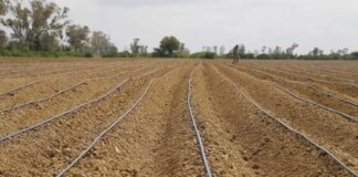 Kairouan : le ministre de l’Agriculture inspecte un centre de formation dédié aux métiers de l’eau à Barrouta