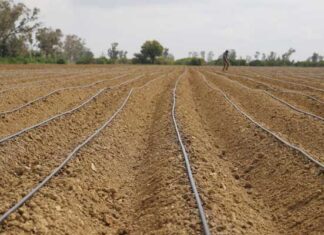 Kairouan : le ministre de l’Agriculture inspecte un centre de formation dédié aux métiers de l’eau à Barrouta