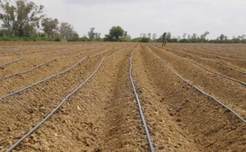 Kairouan : le ministre de l’Agriculture inspecte un centre de formation dédié aux métiers de l’eau à Barrouta