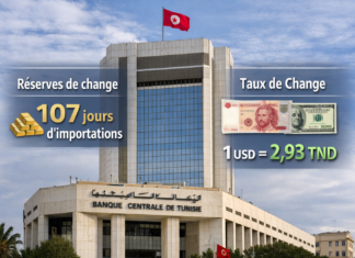 Pourquoi le dinar tunisien est-il la monnaie la plus forte d’Afrique en 2026 ? Dinat Tunisien