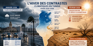 Climat en Tunisie : l’INM confirme un hiver 2025-2026 anormalement chaud et contrasté entre pluies et sécheresse