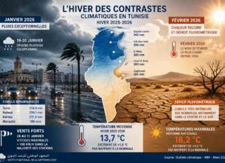 Climat en Tunisie : l’INM confirme un hiver 2025-2026 anormalement chaud et contrasté entre pluies et sécheresse