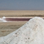 Tozeur : un permis de recherche de sel accordé à Gulf Care Company