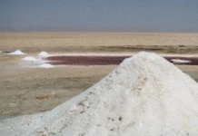 Tozeur : un permis de recherche de sel accordé à Gulf Care Company