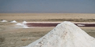 Tozeur : un permis de recherche de sel accordé à Gulf Care Company