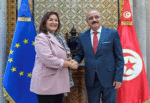 Pacte pour la Méditerranée : Bruxelles dévoile un plan d’action en 21 mesures concrètes