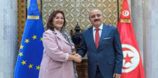 Pacte pour la Méditerranée : Bruxelles dévoile un plan d’action en 21 mesures concrètes