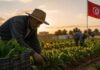 Hausse du SMAG agricole : une revalorisation graduelle face à une équation sociale complexe SMAG Salaire Minimum Agricole
