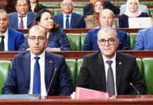 Photovoltaïque et IDE : la Tunisie mise sur l’investissement pour renforcer sa sécurité énergétique