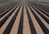 Transition énergétique : vers une approche durable des projets solaires en Tunisie