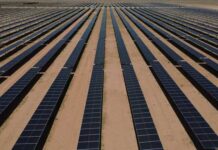 Transition énergétique : vers une approche durable des projets solaires en Tunisie