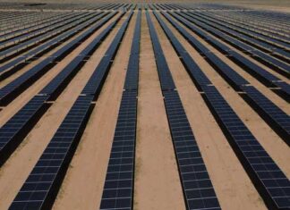Transition énergétique : vers une approche durable des projets solaires en Tunisie