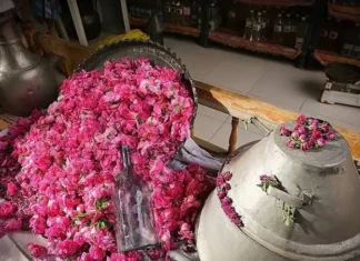 Floriculture tunisienne : entre potentiel économique élevé et défis structurels à surmonter