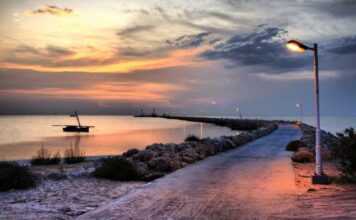 Kerkennah : 33 projets identifiés pour renforcer la résilience face au changement climatique