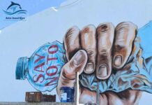 Monastir : l’association Notre Grand Bleu lance un projet artistique écologique dans un stade emblématique