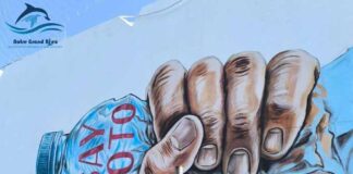 Monastir : l’association Notre Grand Bleu lance un projet artistique écologique dans un stade emblématique