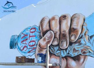 Monastir : l’association Notre Grand Bleu lance un projet artistique écologique dans un stade emblématique