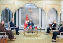 Diplomatie : Tunis mise sur les pays nordiques pour diversifier ses partenaires européens