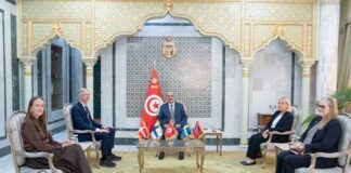 Diplomatie : Tunis mise sur les pays nordiques pour diversifier ses partenaires européens