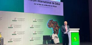 la Tunisie plaide pour un renforcement du rôle des femmes dans la sécurité en Afrique