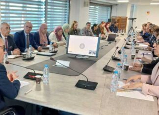 Coopération Tunisie-ONU : focus sur l’efficacité des projets économiques et sociaux