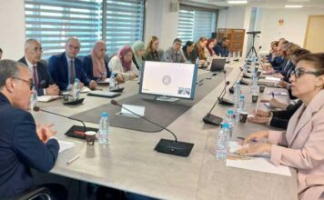 Coopération Tunisie-ONU : focus sur l’efficacité des projets économiques et sociaux