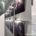 L’exposition « Printemps Arty 2026 » met en lumière les talents étudiants à Dauphine