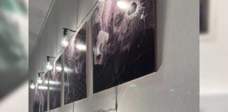 L’exposition « Printemps Arty 2026 » met en lumière les talents étudiants à Dauphine