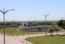 Tunisie : vers la création d’une station de phytoépuration pour traiter les eaux usées à Borj El Amri