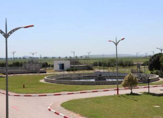 Tunisie : vers la création d’une station de phytoépuration pour traiter les eaux usées à Borj El Amri